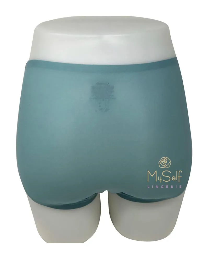 2647 Seamless One Size Fits All Full Brief