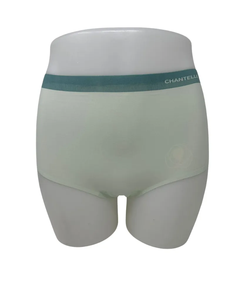 2647 Seamless One Size Fits All Full Brief