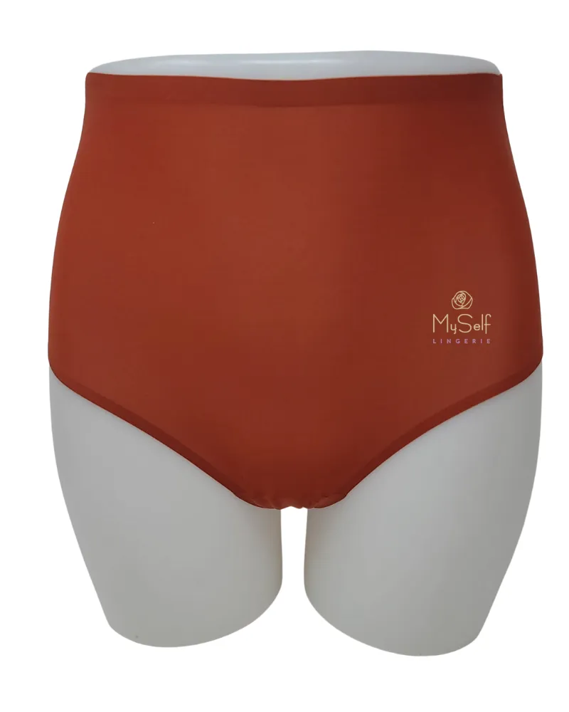 2647 Seamless One Size Fits All Full Brief