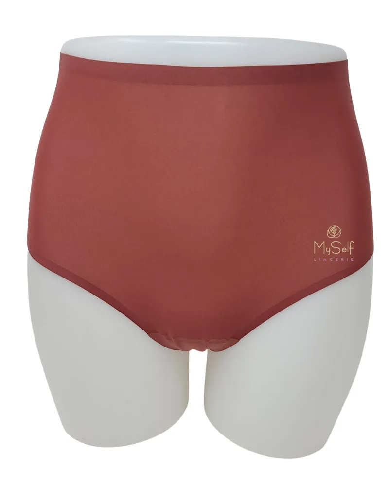 2647 Seamless One Size Fits All Full Brief