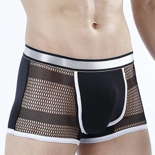 Boxer Mesh Silk Sexy Men Underwear