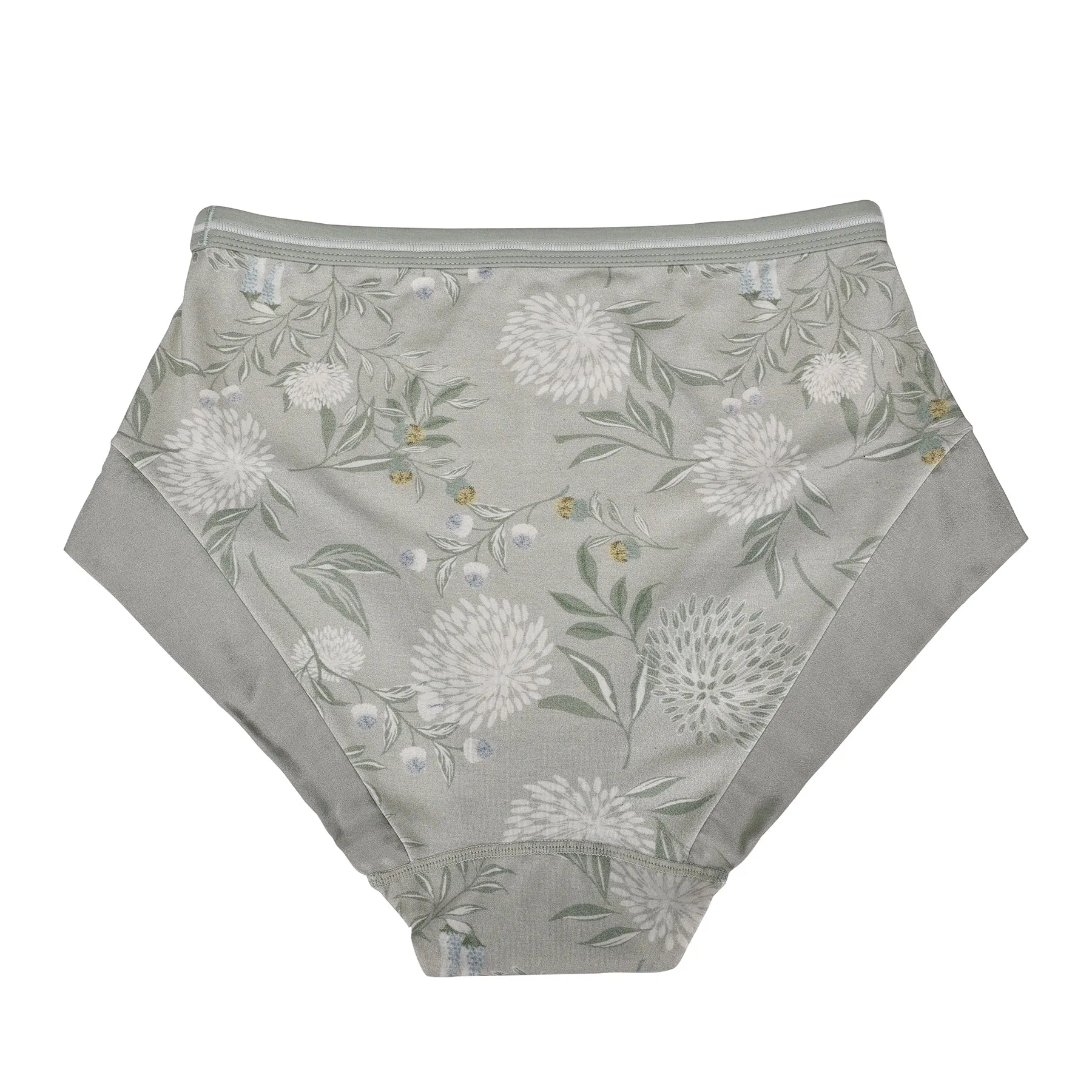 Valentina Full Briefs - Organic Pima Cotton & Silk